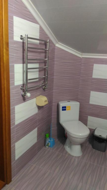 Koupelna v ubytování Guest House Stari Druzy