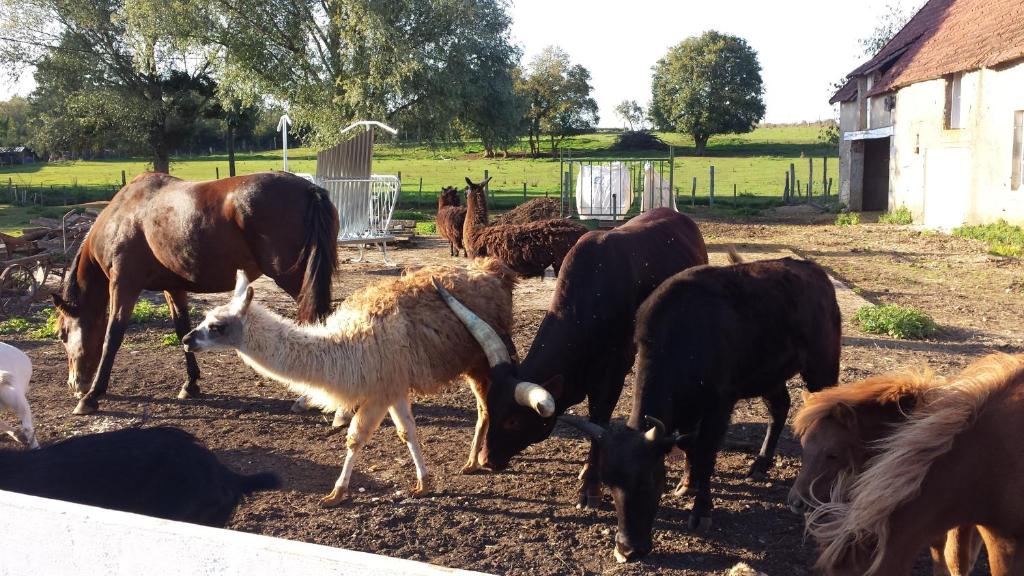 la ferme aux kangourous - Holiday Home