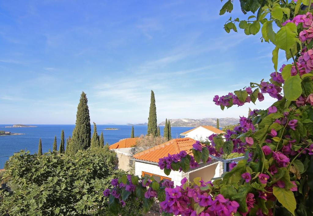 a house on a hill with purple flowers at Apartments Šiljug in Cavtat