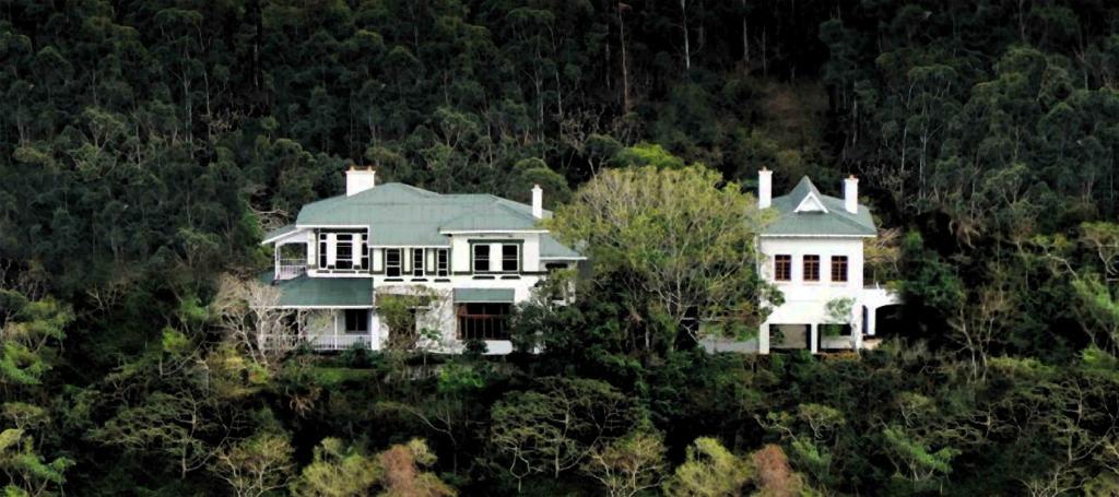 a large white house in the middle of a forest at Royston Hall Historical Guesthouse in Umtentweni
