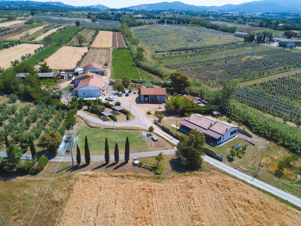 an aerial view of a farm with trees and a house at Agriturismo Ferri in Bibbona