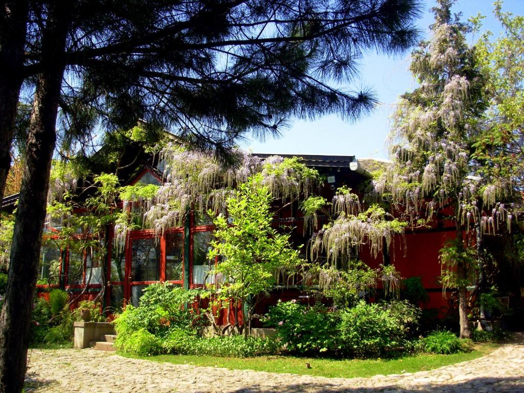 Zahrada ubytování Garten Vendégház