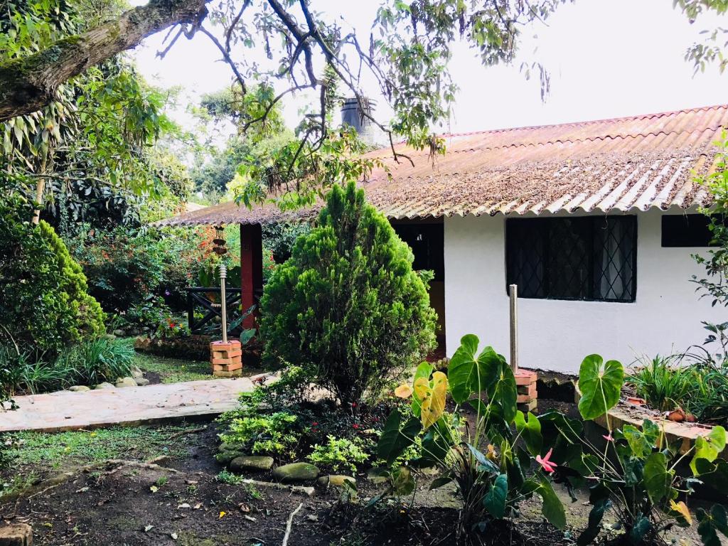 Jardí fora de Cabañas La Carolina - Mesa de Los Santos