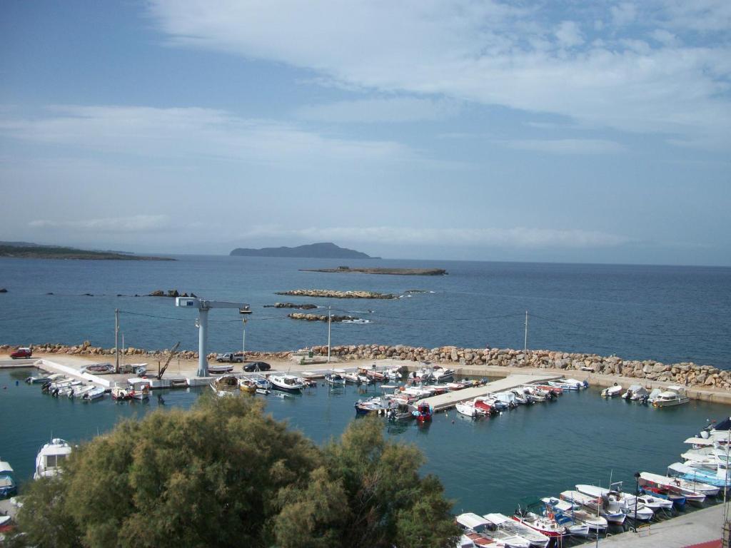 Arocaria Apartments - 15