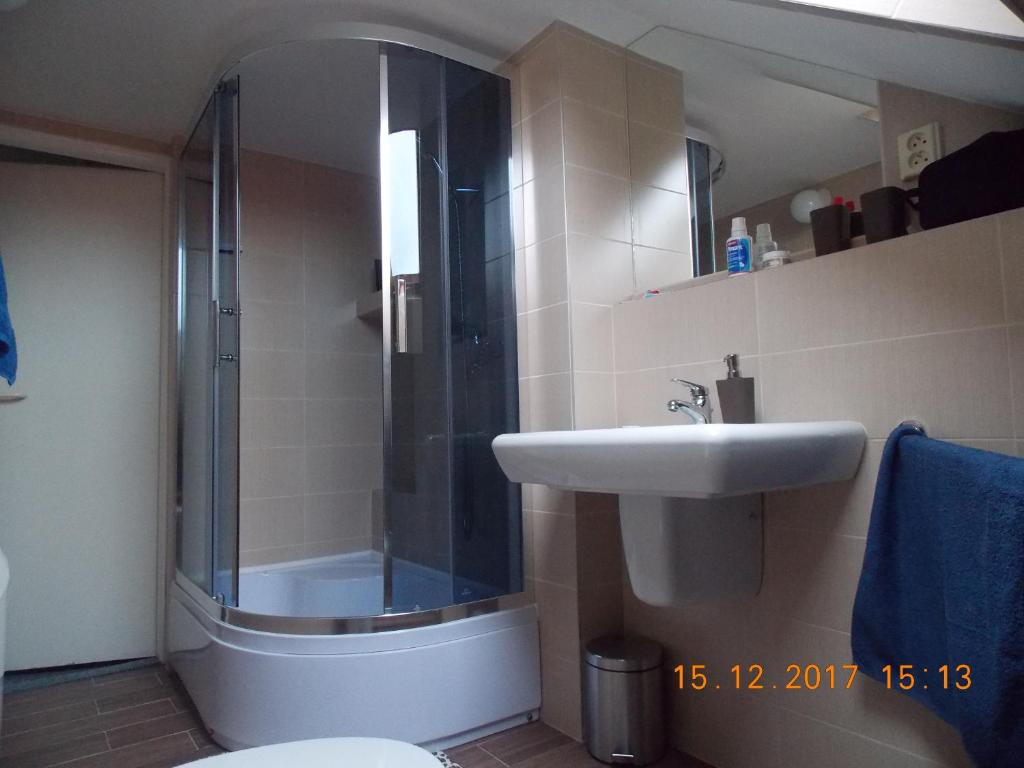 Koupelna v ubytování Apartman JaS