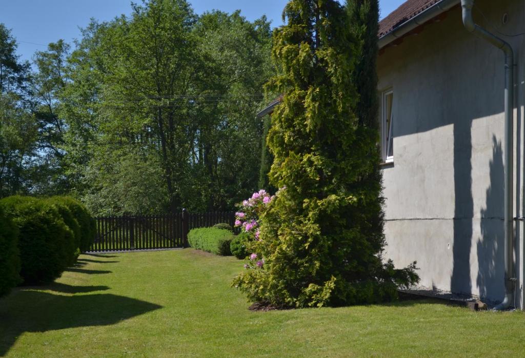 Zahrada ubytování Pension Eric