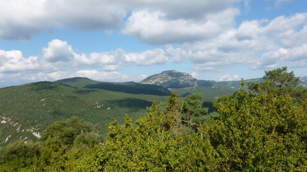 Příroda nedaleko prázdninového domu