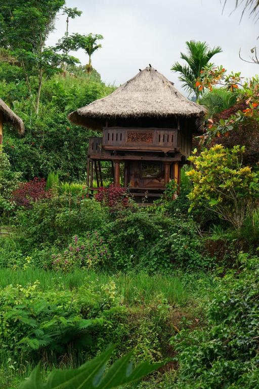 Zahrada ubytování Rinjani Mountain Garden