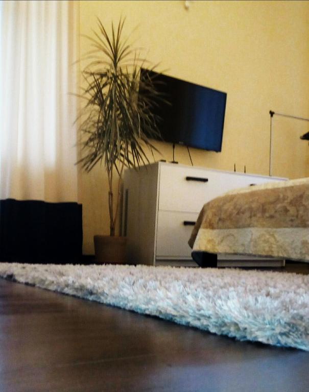 a living room with a tv and a bed and a rug at Smile Khreschatyk Kyiv in Kyiv