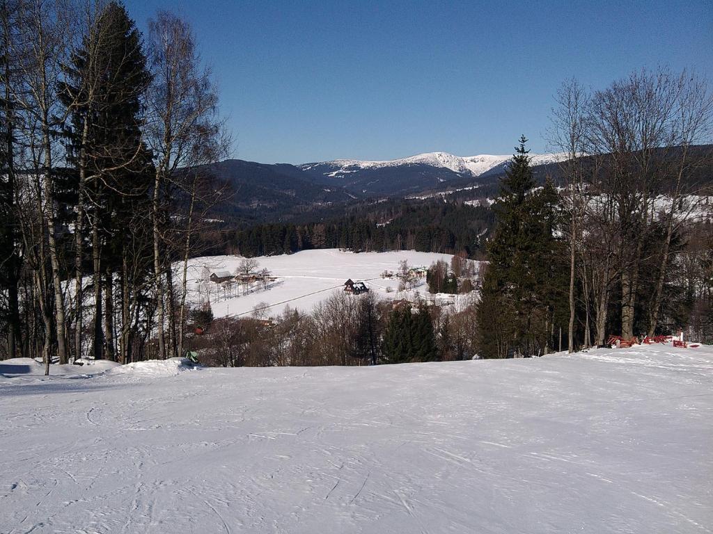 a snow covered slope with trees and mountains in the background at Apartmány Kuřátko in Benecko