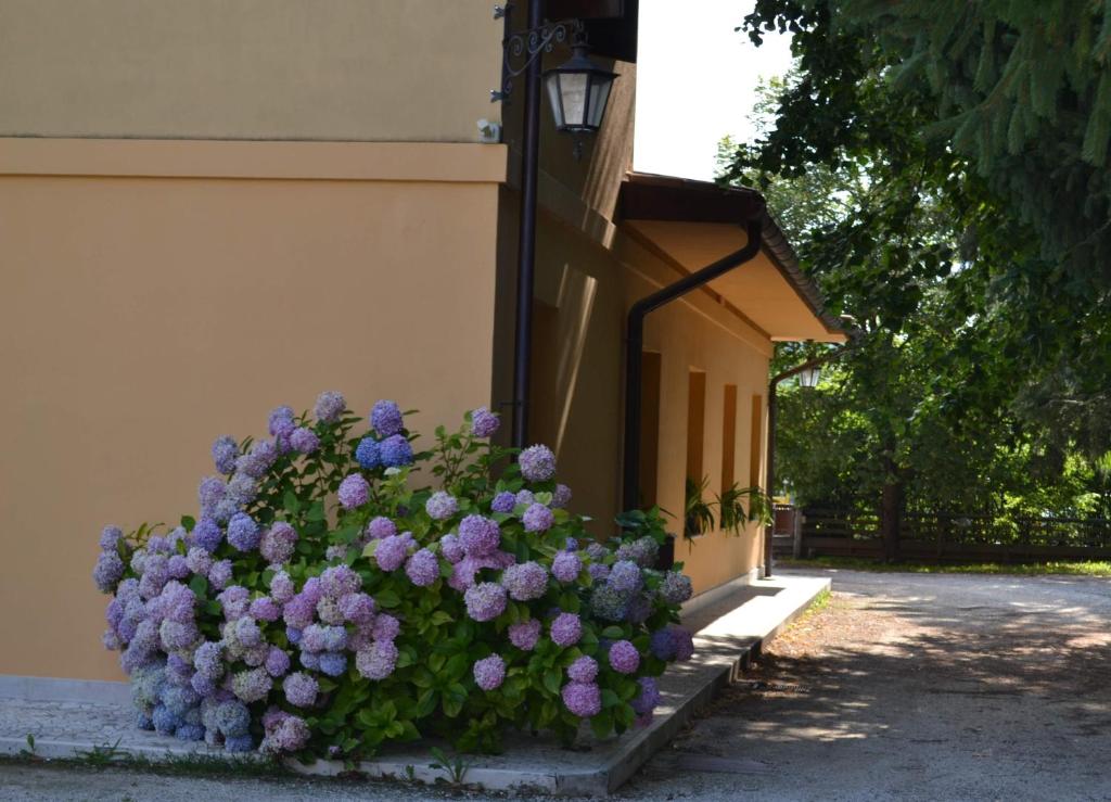 Zahrada ubytování Albergo Da Gildo