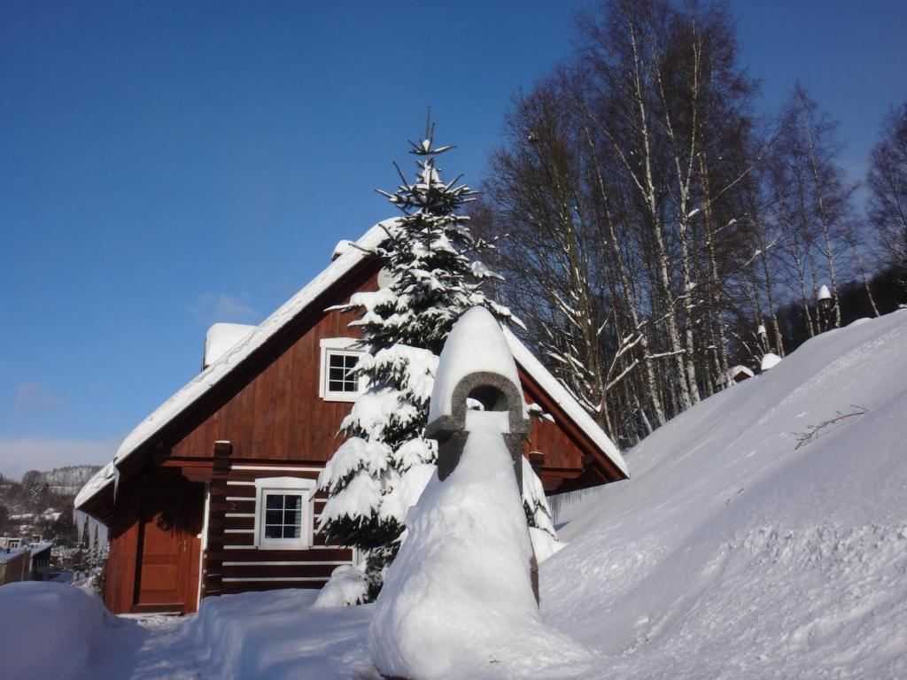 un árbol de Navidad cubierto de nieve frente a una cabaña en Apartmán Na Zlatníku, en Zlatá Olešnice