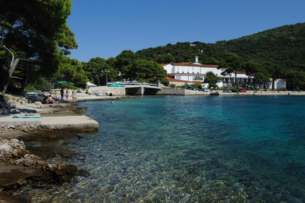 a body of water with a beach and buildings at Hotel Solitudo in Ubli