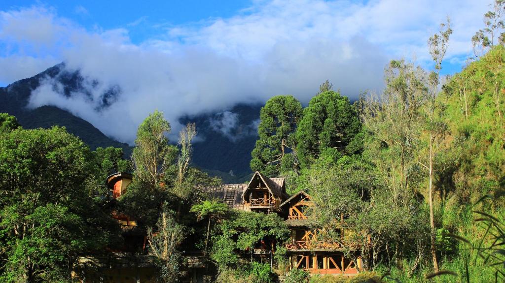 a house in the middle of a forest with mountains at Finca Chamanapamba Guest House in Baños