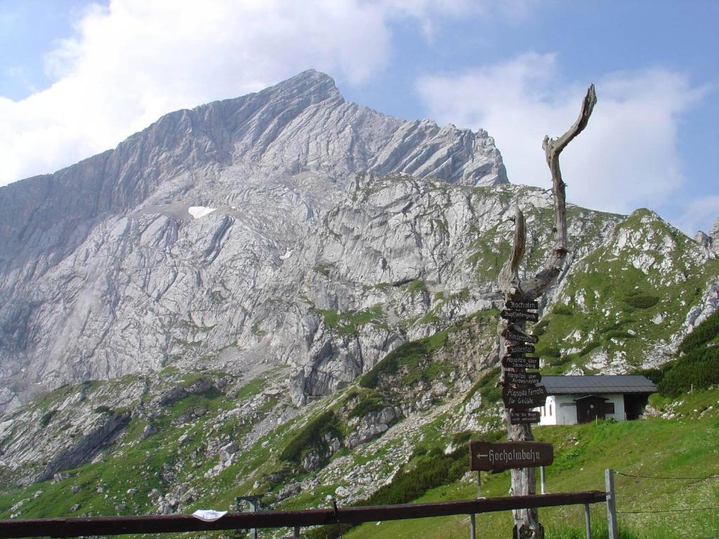 Příroda nedaleko apartmánu