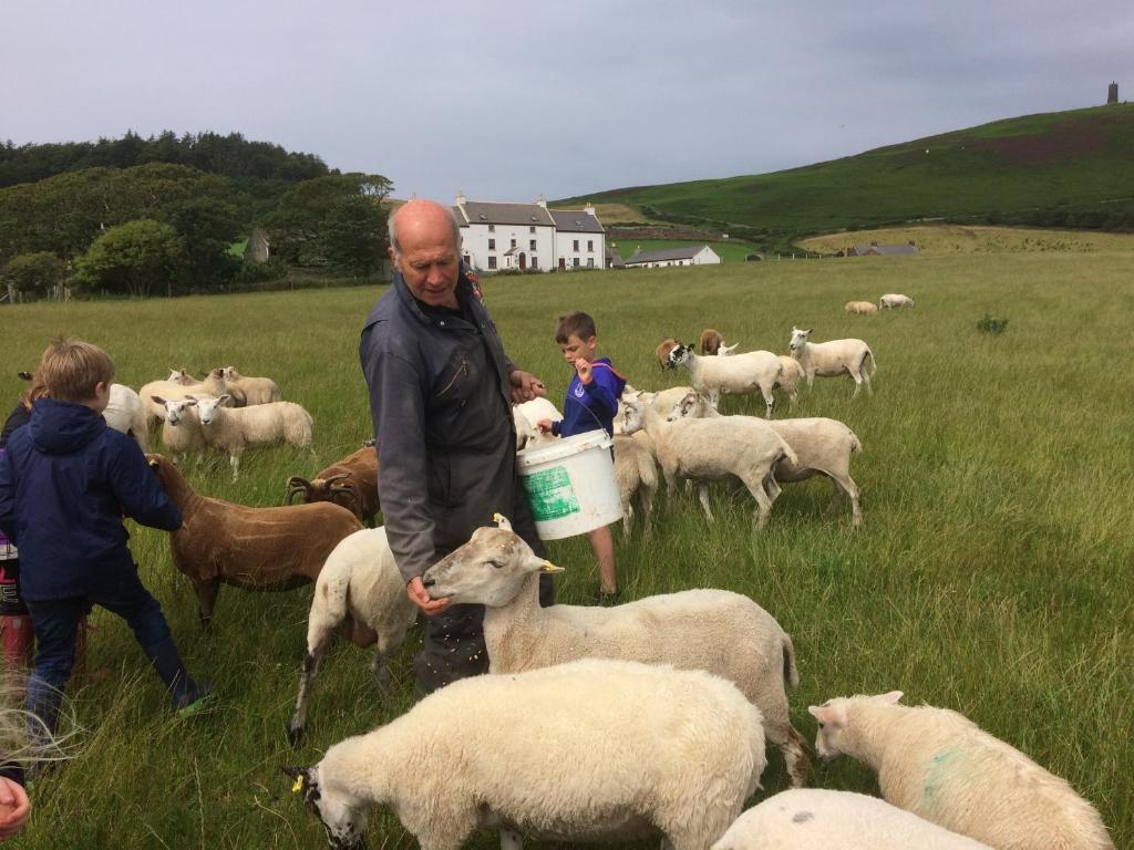 a man standing in a field with a herd of sheep at Knockaloe Beg Farm in Patrick
