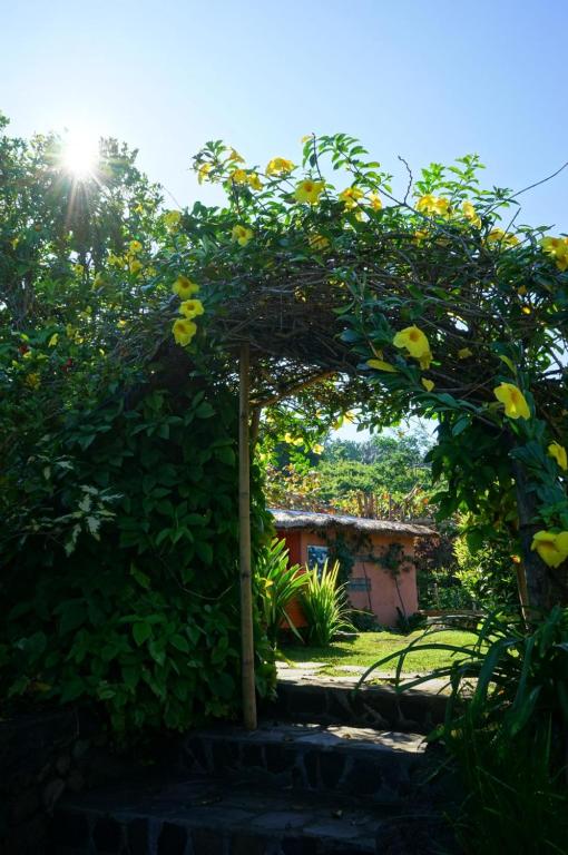 Zahrada ubytování Rinjani Mountain Garden