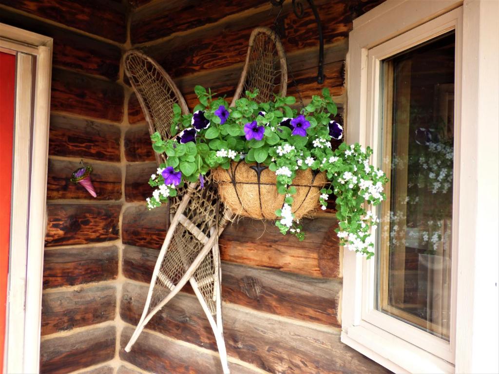 Fotografie z fotogalerie ubytování Juneberry Lodge v destinaci Homer