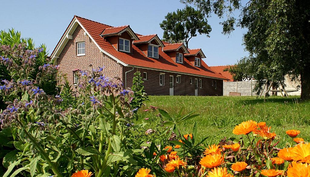 una casa con un campo de flores delante de ella en Ferienhaus Lobbe - Wohnung 04 mit Terrasse strandnah en Lobbe