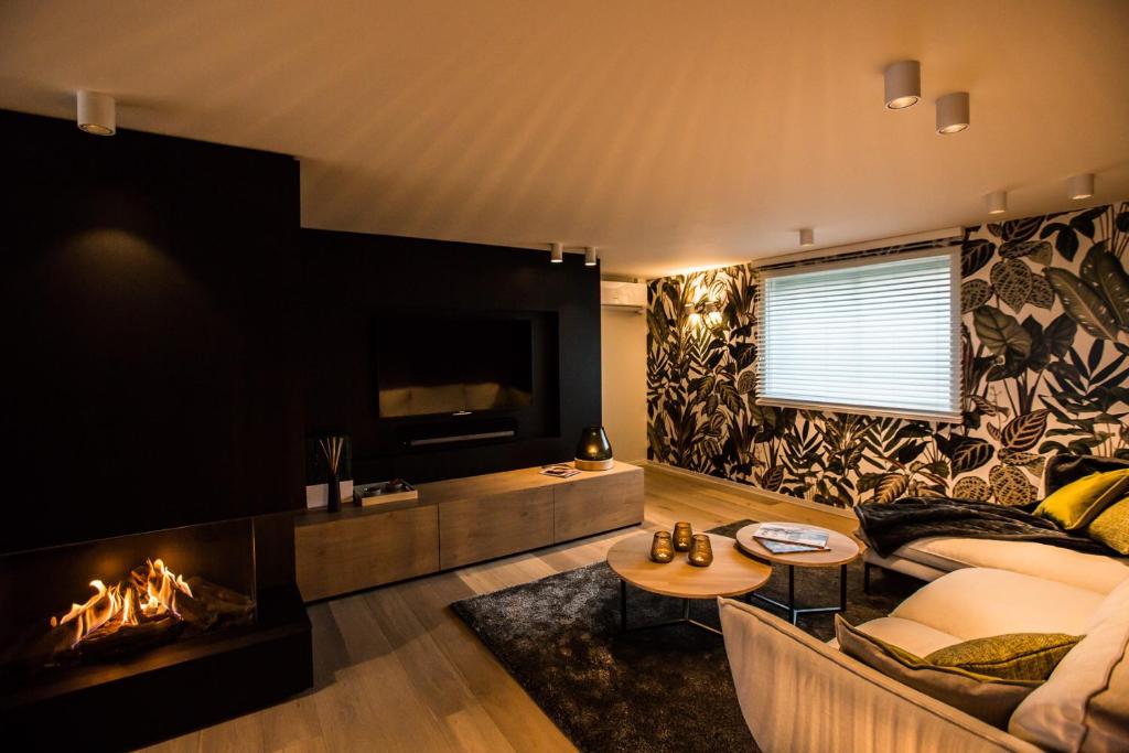 TV a/nebo společenská místnost v ubytování Wellness Hasselt B&B