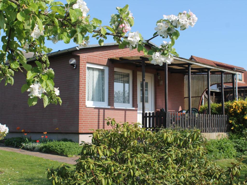 una casa con flores blancas delante de ella en Strandbungalow, Boltenhagen, en Boltenhagen