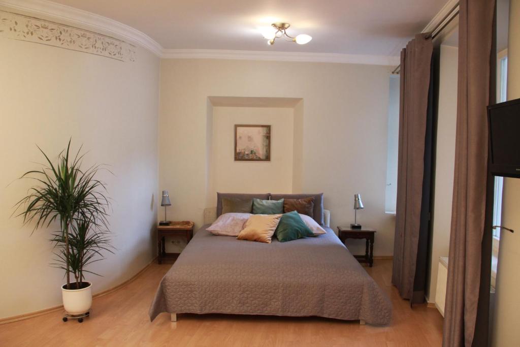 - une chambre avec un lit et une plante en pot dans l'établissement Mini Home Vilnius Old Town, à Vilnius