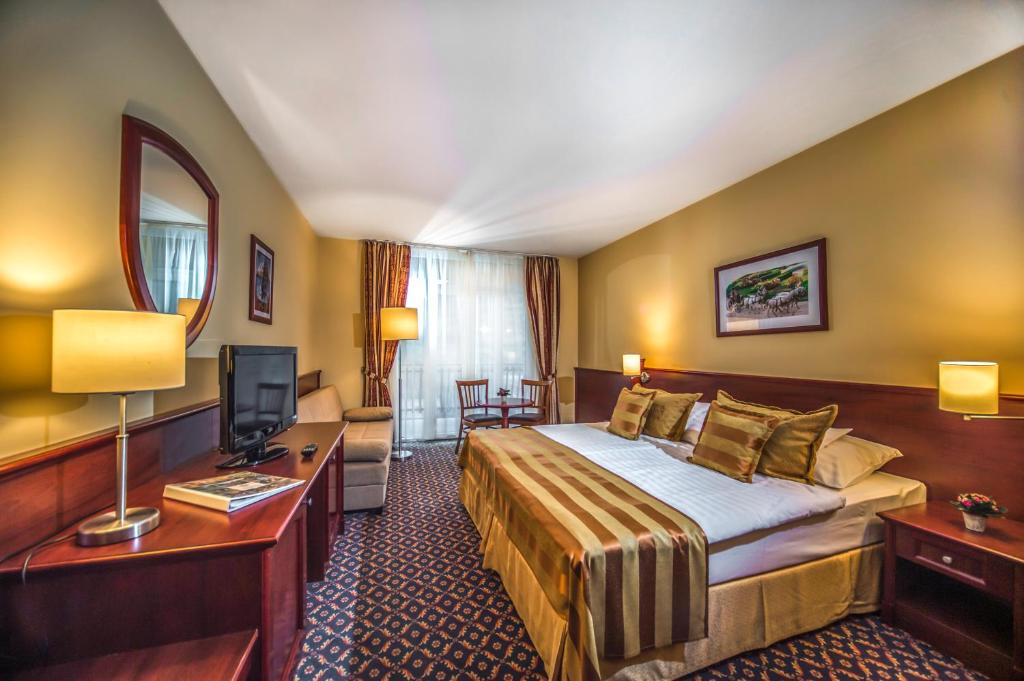 TV a/nebo společenská místnost v ubytování Hotel Kapitany Wellness