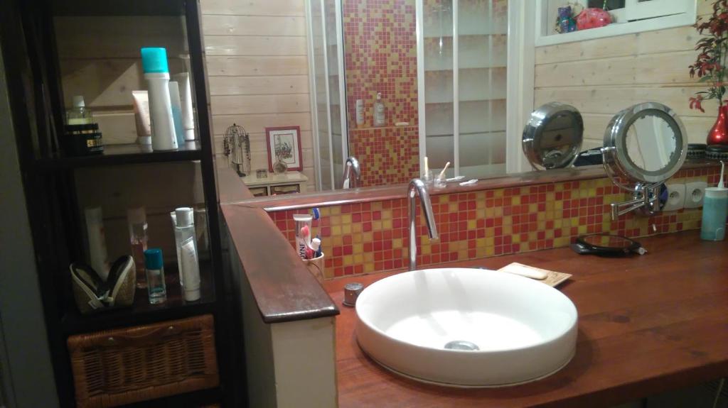 サン・セバスティアン・シュル・ロワールにあるChambre privée dans une maison avec jardinのバスルーム(洗面台、鏡付)