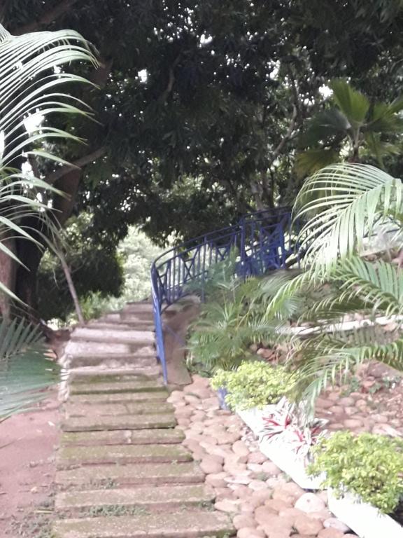 Zahrada ubytování girardot resort apto102