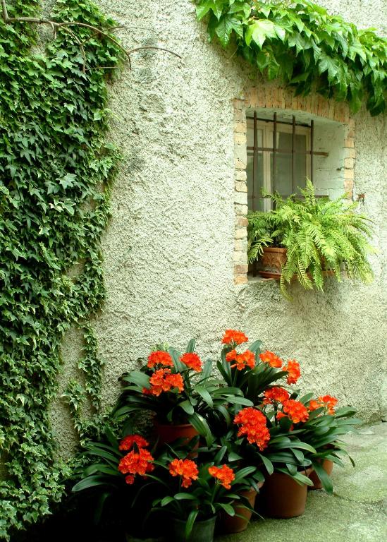 Vonkajšia záhrada v ubytovaní B&B gil d'o