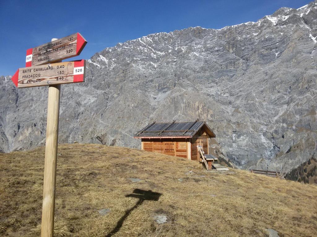 Príroda v okolí apartmánu