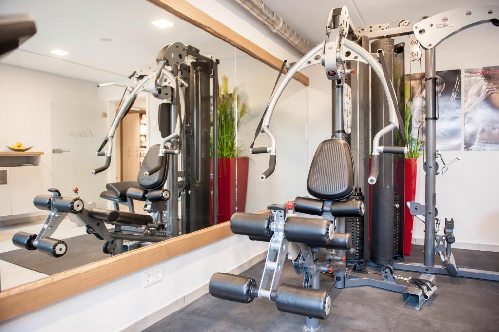 Fitness centrum a/nebo fitness zařízení v ubytování Hotel Monika