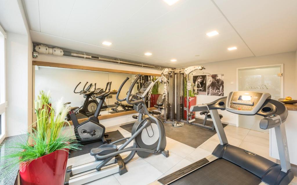 Fitness centrum a/nebo fitness zařízení v ubytování Hotel Monika