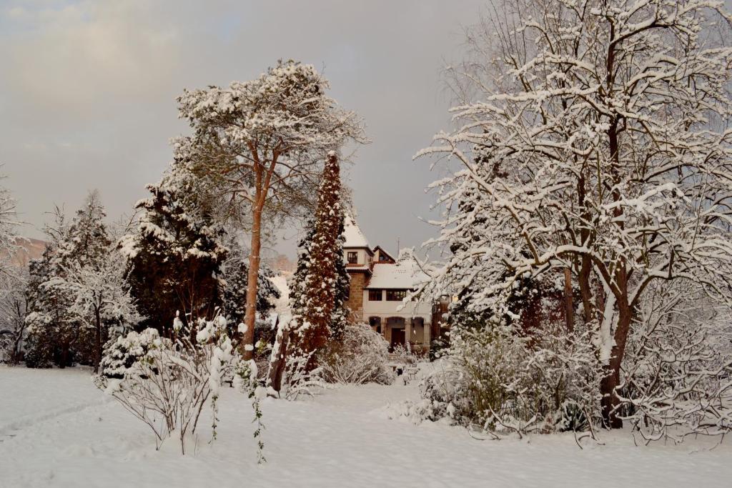Villa Castelul Maria - Housity