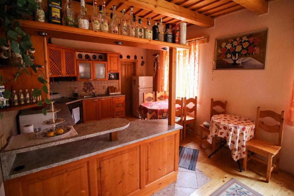 Kuchyňa alebo kuchynka v ubytovaní Penzion HACIENDA