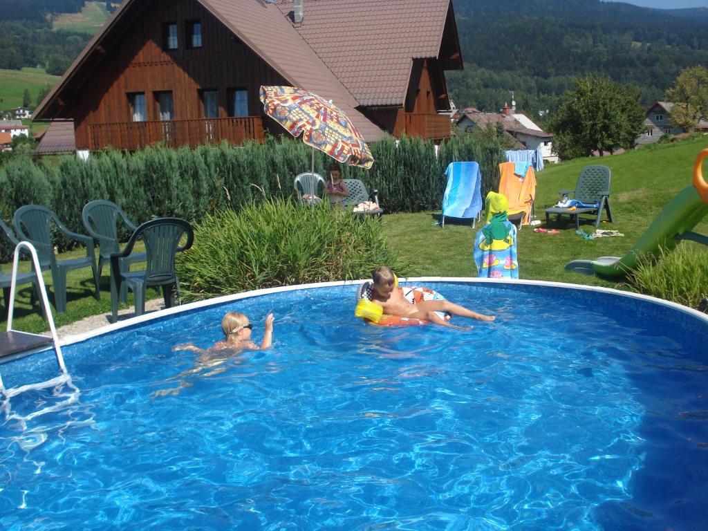 dos niños están jugando en una piscina en Penzion Seidl en Rokytnice nad Jizerou