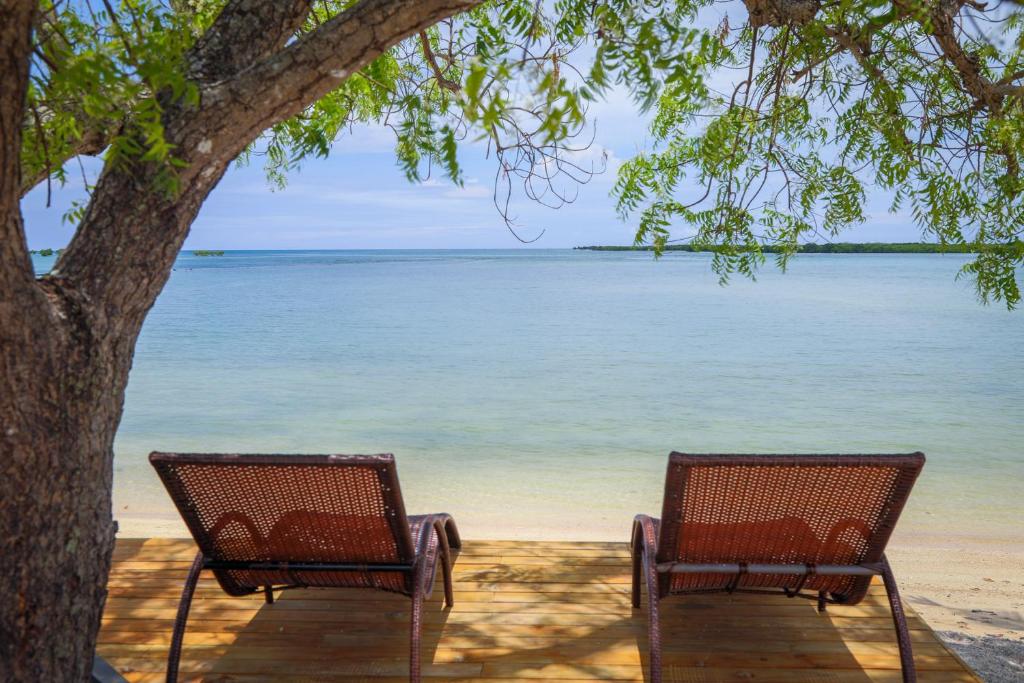 two chairs sitting under a tree on the beach at Lander's Bay Resort in Lautoka