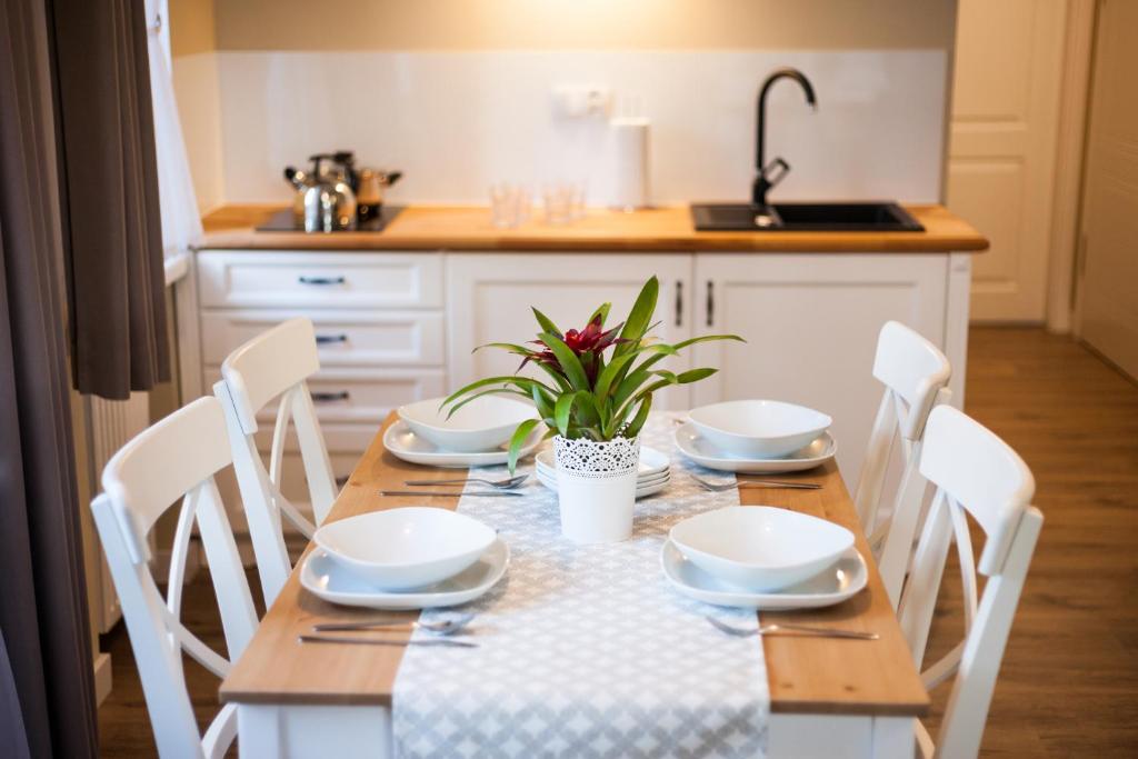 Kuchyňa alebo kuchynka v ubytovaní Apartamenty Bystra