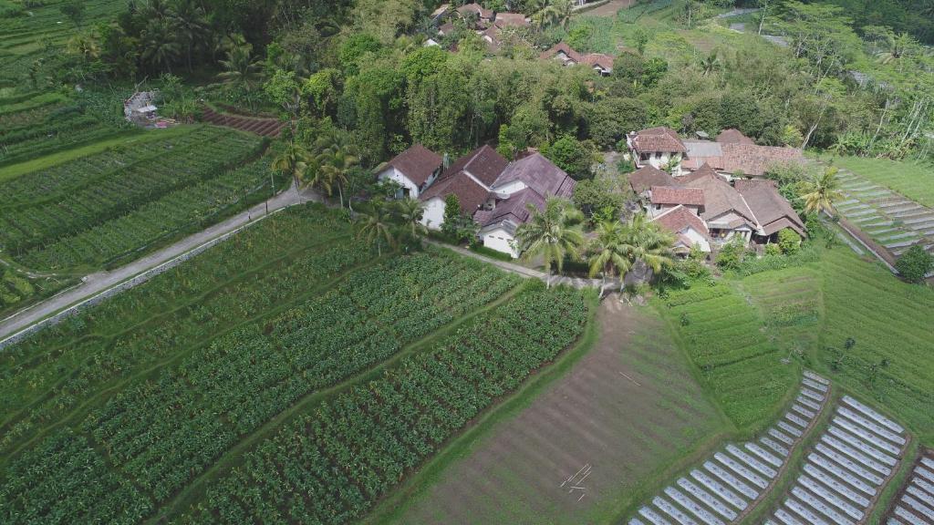 een luchtfoto van een huis in een veld bij Griya Harja Homestay in Borobudur