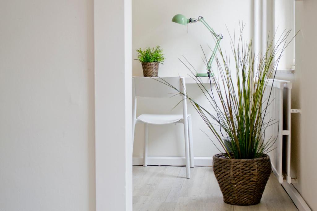 Hotel Beez - Resim 21