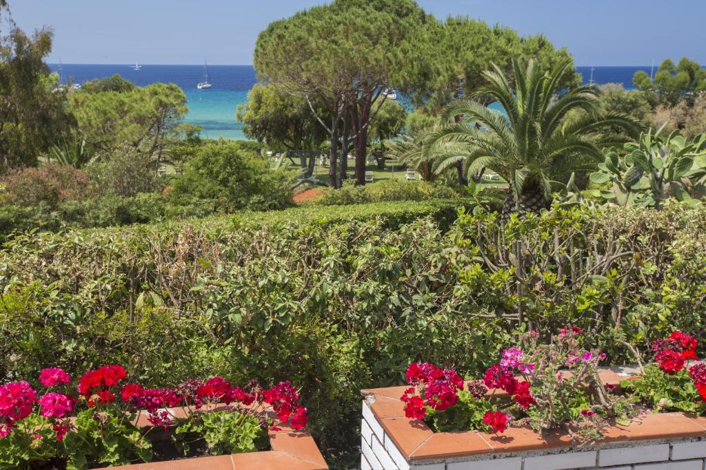 a garden with red flowers and a view of the ocean at Villetta Biodola Beach in Portoferraio