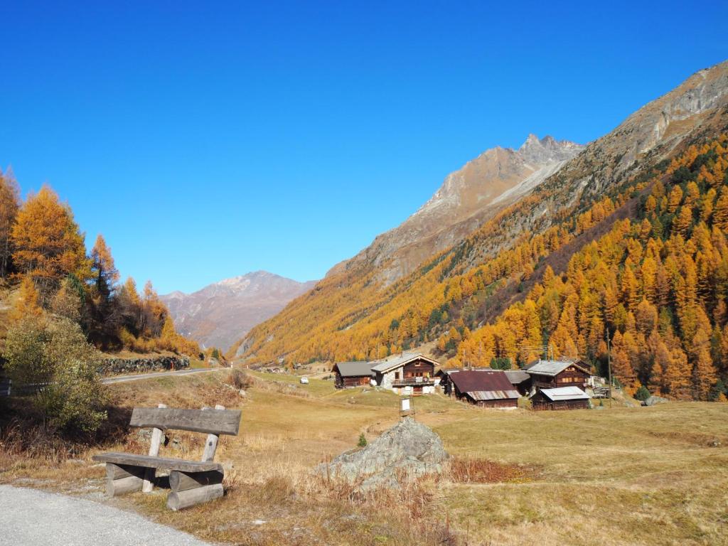 a bench sitting in a field in the mountains at Aiguille de La Tza in Arolla