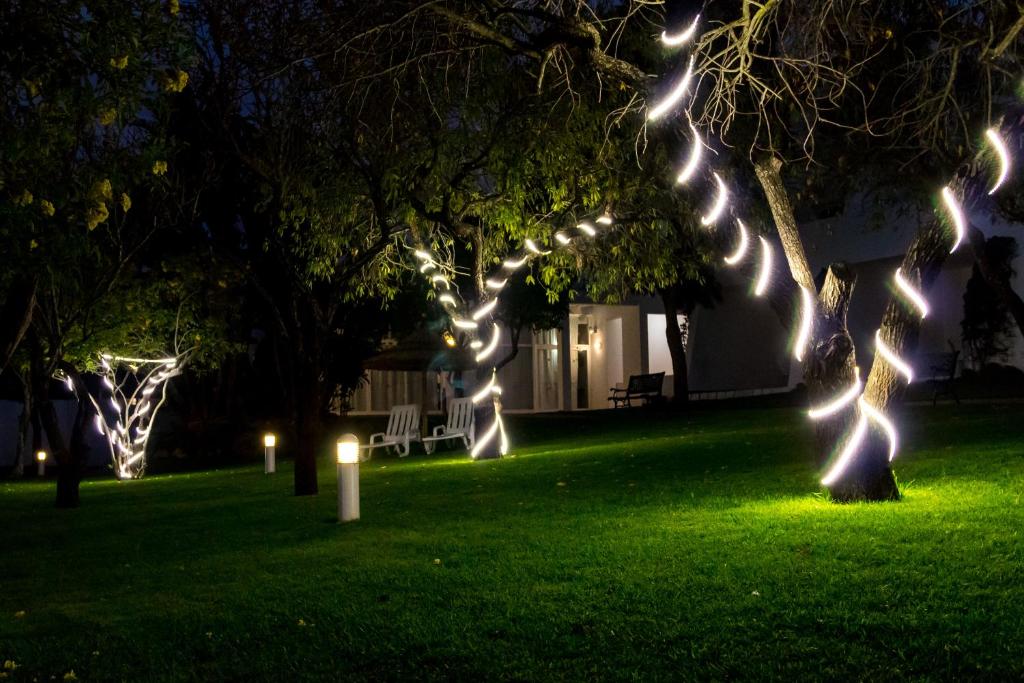 Pateo Village - Resim 35