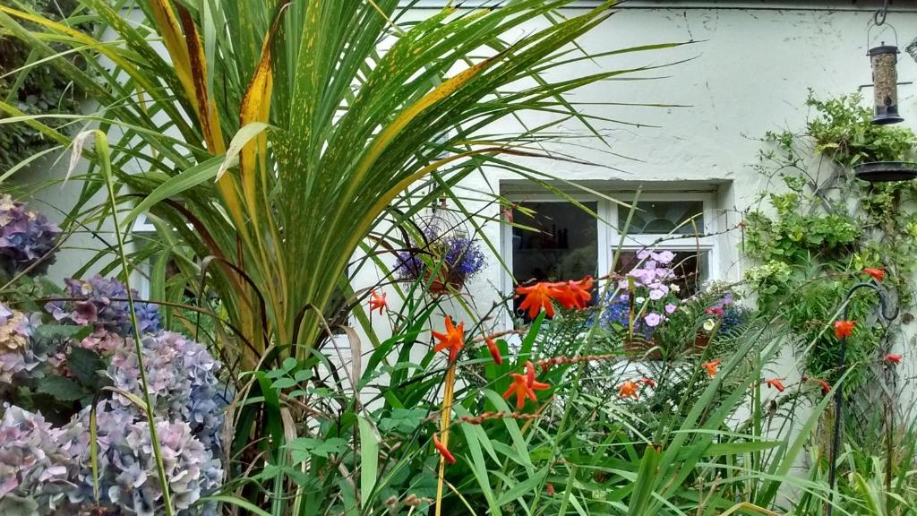 ニューキーにあるGerynantの家の前の花園