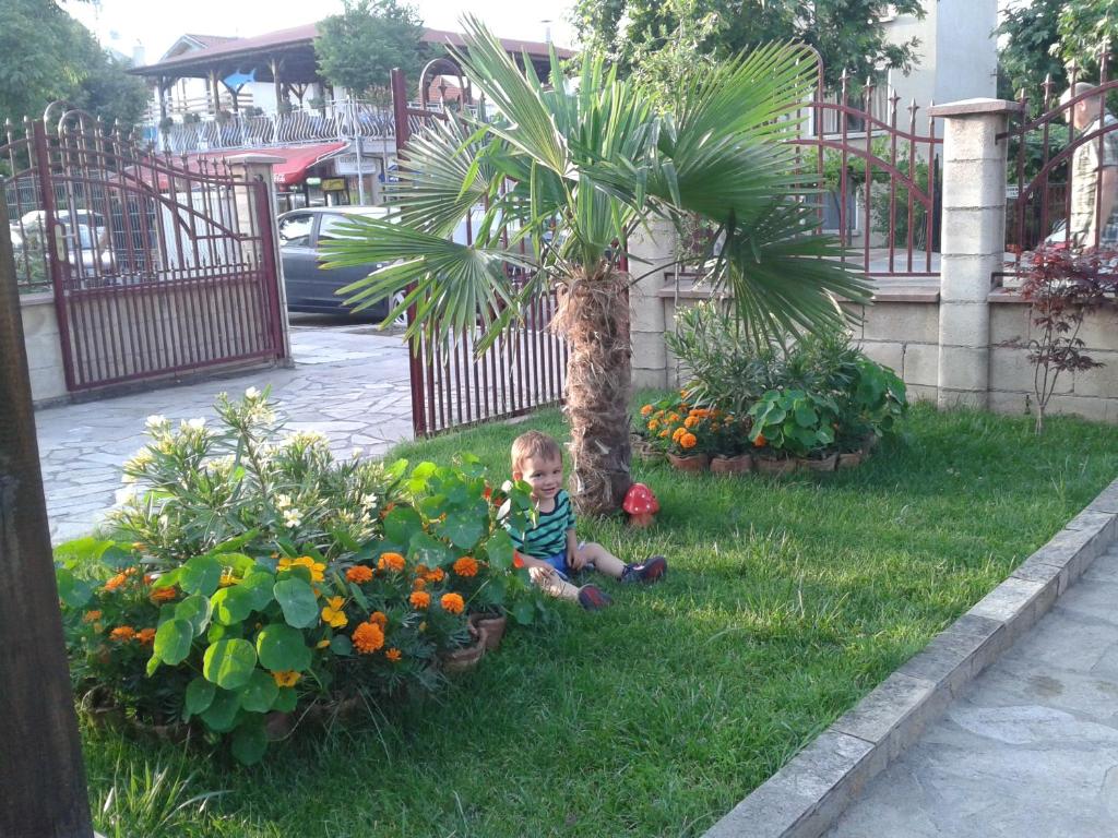 Zahrada ubytování Saint George Family Hotel