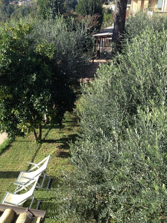 Zahrada ubytování Hotel Tempio di Apollo