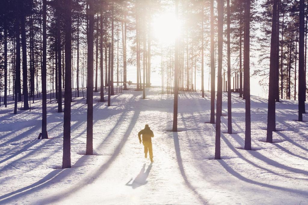 Vuokatti Sport Chalets зимой