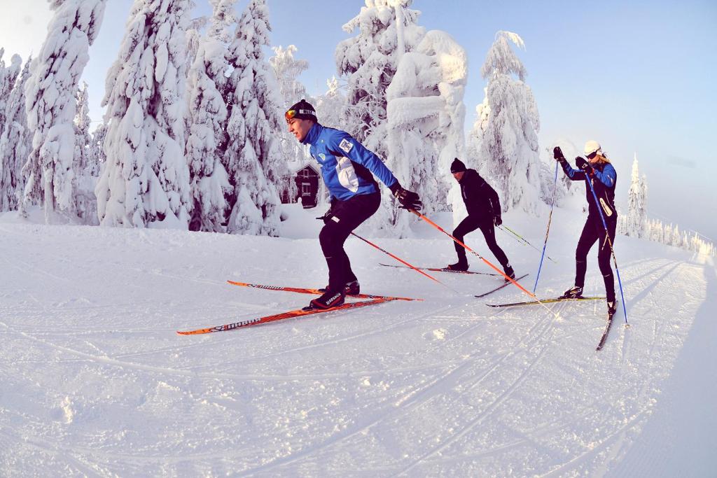 Vuokatti Sport Chalets зимой