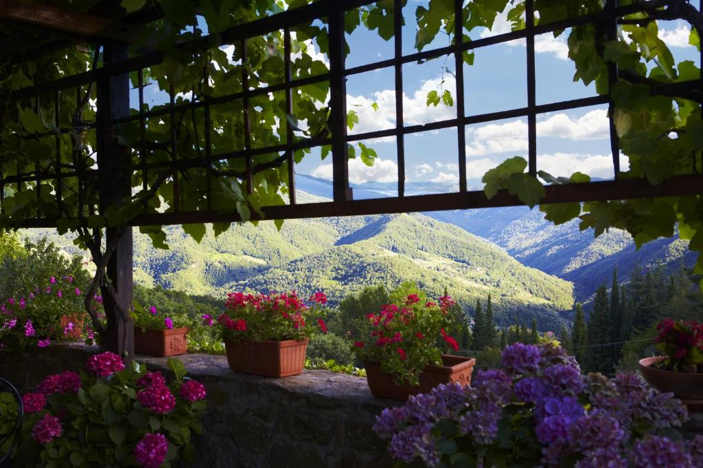 フィレンツェにあるL'Olmoの鉢植えの花々が咲く庭園からの眺め