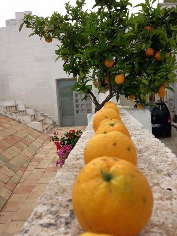 Fotografie z fotogalerie ubytování Albergo Diffuso Il Casale v destinaci Ginosa